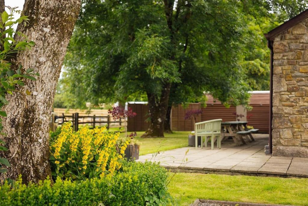 Barn Cottage - Family-Friendly Cottage With Heated Indoor Pool Haverfordwest Kültér fotó